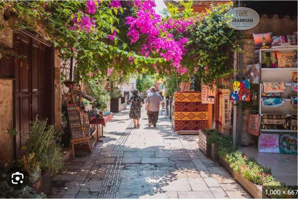 Centre- Location דירה *